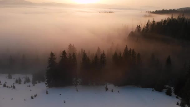 Luchtdrone zicht op mist en wolken boven de Karpaten — Stockvideo