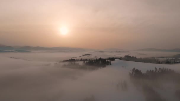 Aerial drone view to fog and clouds over Carpathian mountains — Stock Video