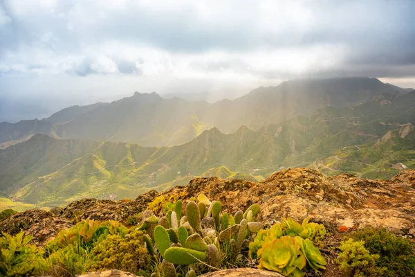 Uitzicht Vanuit Lucht Het Anaga Gebergte Taganana Tenerife Canarische Badplaats — Stockfoto