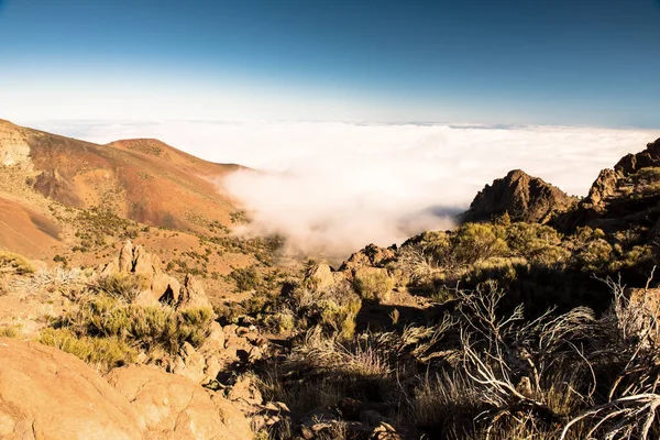 Versteend Lavastromen Van Teide Vulkaan Roques Garcia Teide Nationaal Park — Stockfoto