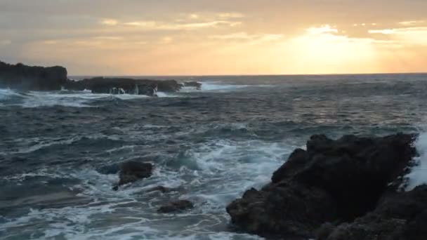 Ocean Bølger Nedbrud Klipper Spray Smukke Solnedgang Lys Nær Playa – Stock-video