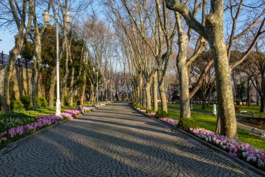 View of historical urban Gulhane Park in the Eminonu district of Istanbul. Topkapi Palace. Istanbul, Turkey.