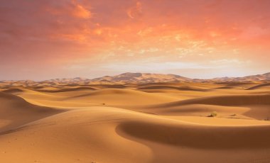 Sahra Çölü Fas Merzouga dunes görkemli güzel sahne.