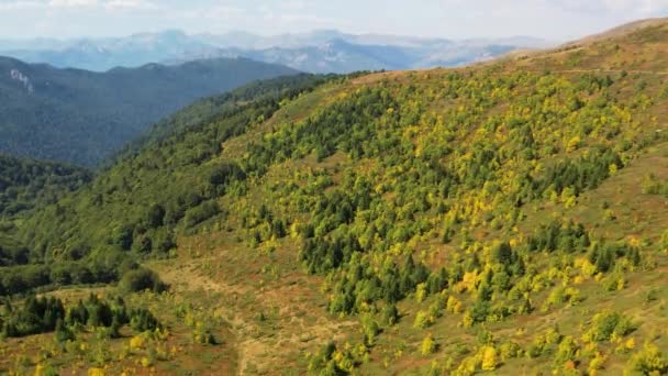 Top Drone View Autumn Mountains National Park Biogradska Gora Montenegro — ストック動画