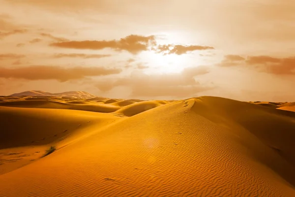 Indah Megah Adegan Merzouga Bukit Pasir Sahara Maroko — Stok Foto