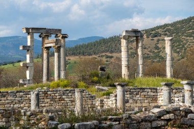 Antik Aphrodisias şehri. Modern Türkiye 'nin arkeolojik ve tarihi mekanları