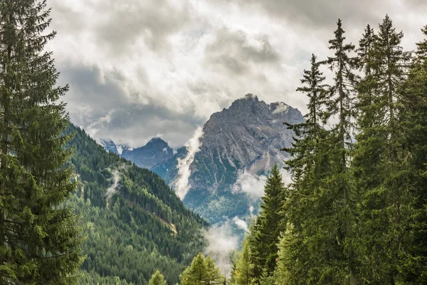 Paisaje Montañoso Dolomitas Bosque Pinos Cielo Dramático Italia —  Fotos de Stock
