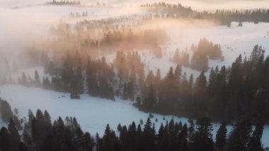 Aerial drone view of fog and clouds over Carpathian mountains. Sunny winter frosty day.