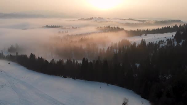 Aerial Drone View Fog Clouds Carpathian Mountains Sunny Winter Frosty — Vídeo de stock