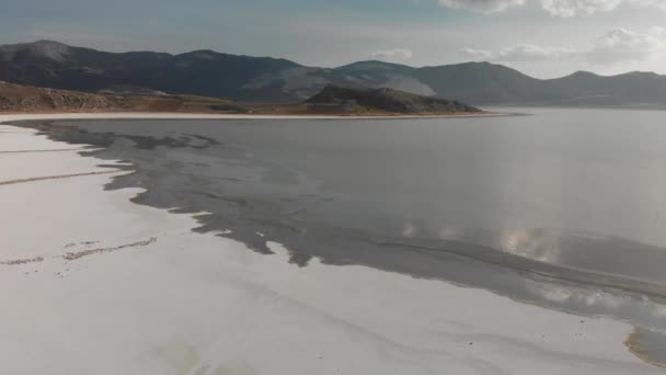 Ροζ Φλαμίνγκο Στην Αλμυρή Λίμνη Τουρκία Θέα Επανδρωμένο — Αρχείο Βίντεο