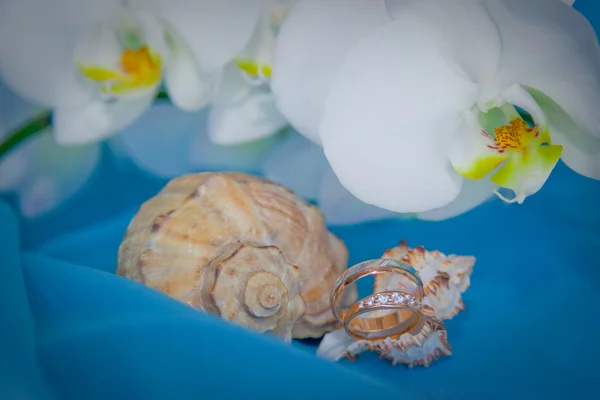 Anéis de casamento e orquídea branca em um fundo azul — Fotografia de Stock