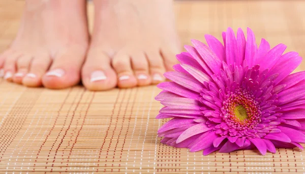 Pedicure — Foto Stock