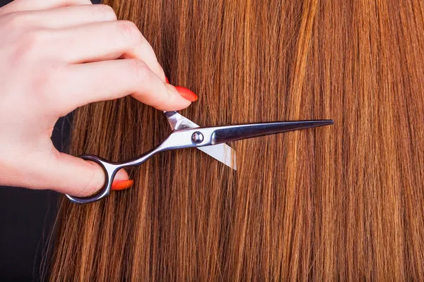 Friseur arbeitet mit einem Kunden — Stockfoto