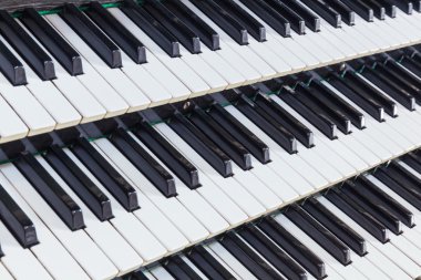 müzikal organ