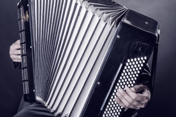 Musician playing accordion — Stock Photo, Image