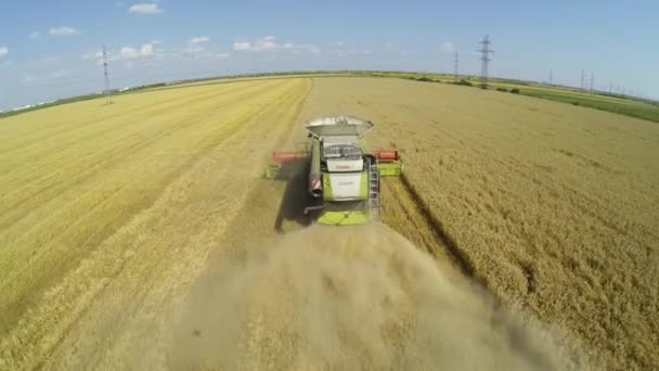 Зернозбиральна техніка — стокове відео