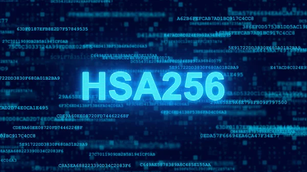 Kryptographische Signatur Hsa256 Computercode Futuristischer Hintergrund — Stockfoto