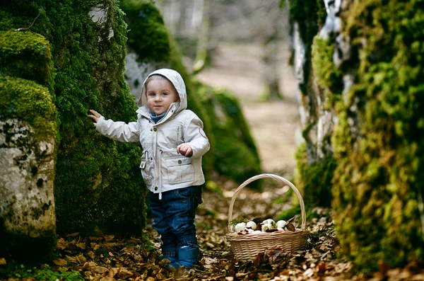 Niño en el bosque