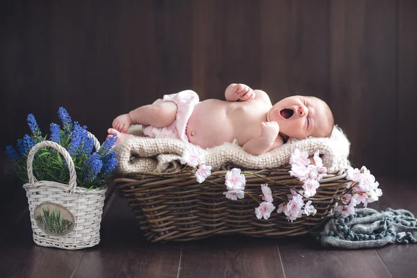 Bebe. — Foto de Stock