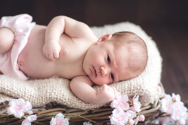 Bebe