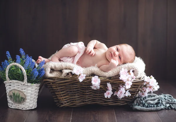 Bebe