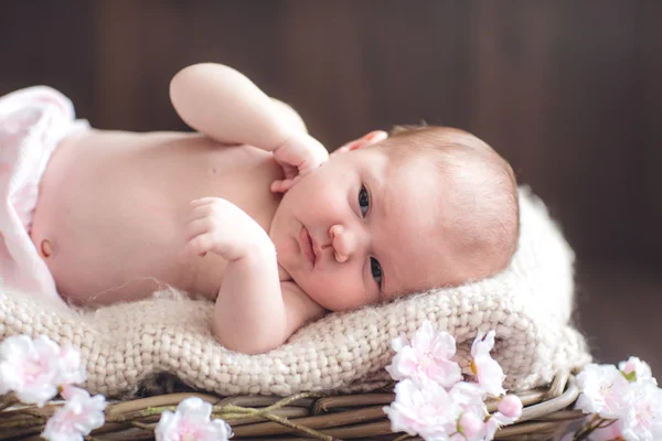 Bebe — Fotografie, imagine de stoc