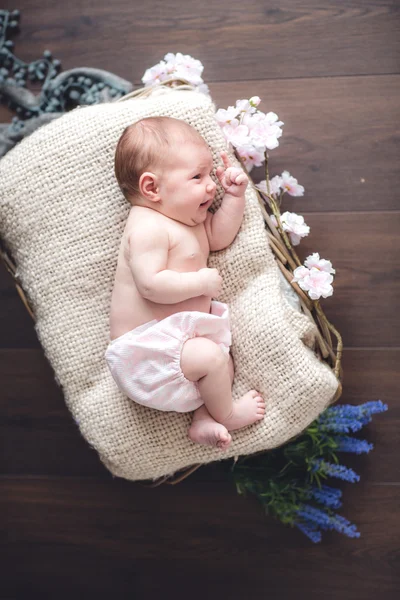 Bebe