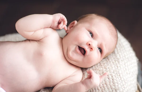 Bebe