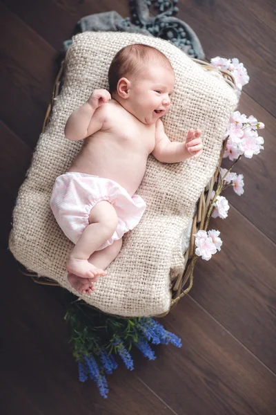 Bebe
