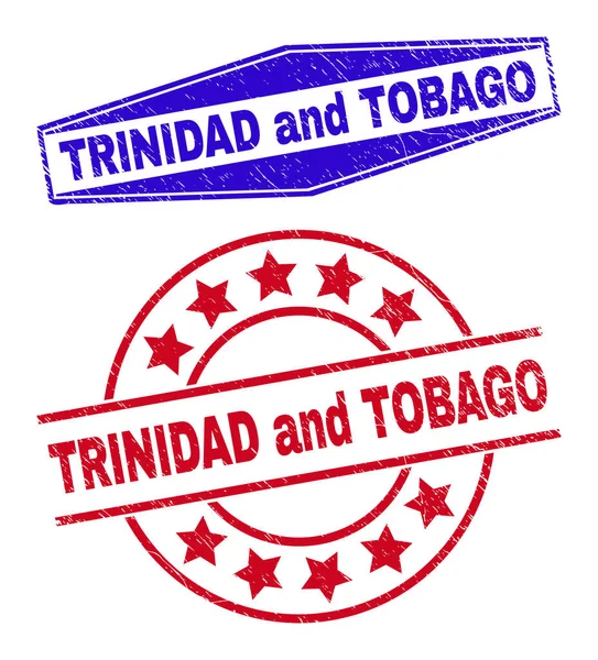 TRINIDAD ve TOBAGO Çember ve Hexagon Şekillerindeki Rozetleri Aşındırdı — Stok Vektör