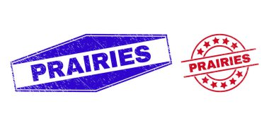 PRAIRIES Çember ve Altıgen Şekillerinde Çürümüş Rozetler