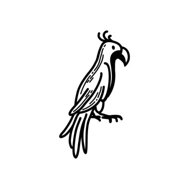 Safari parkında Afrika papağanı