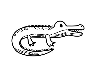 Safari parkında Afrika timsahı