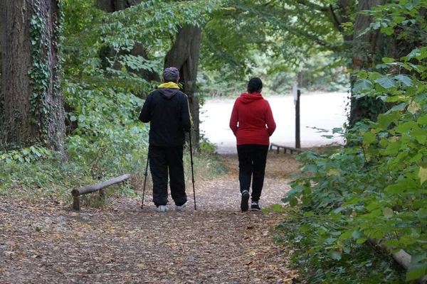 Erkekler ve kadınlar parkta sopalarla yürüme pratiği yapıyorlar.