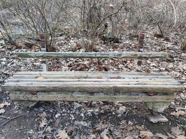 Sonbahar parkındaki eski kırık ahşap bank. Yaklaş.