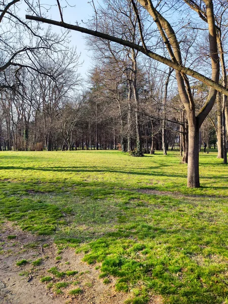 Parque Con Árboles Desnudos Principios Primavera Clima Soleado —  Fotos de Stock