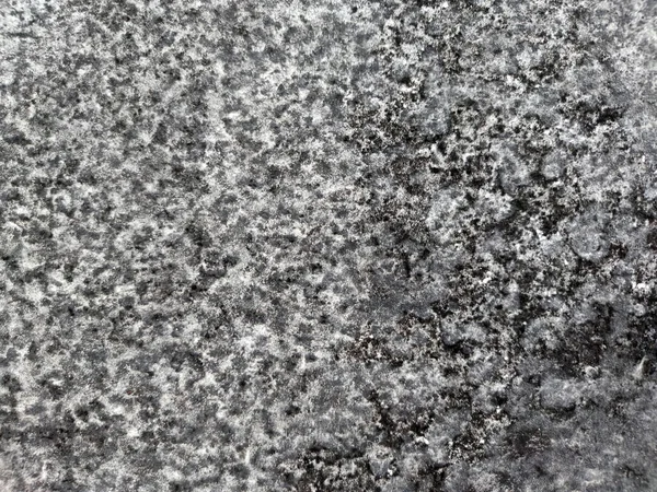 black mold close up on a plasterboard wall