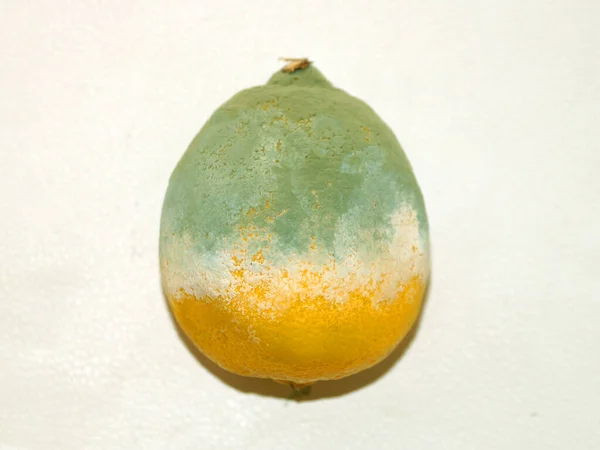 Plesnivý Zkažený Citron Bílém Pozadí Zblízka — Stock fotografie