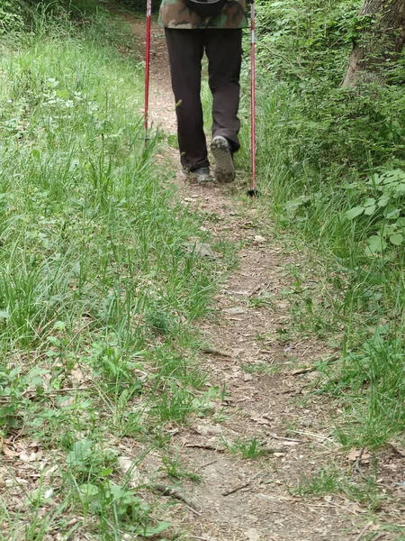 Muž Vycházkovými Holemi Kráčí Lesní Cestě — Stock fotografie