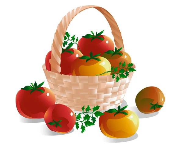 Tomates dans un panier en osier . — Image vectorielle
