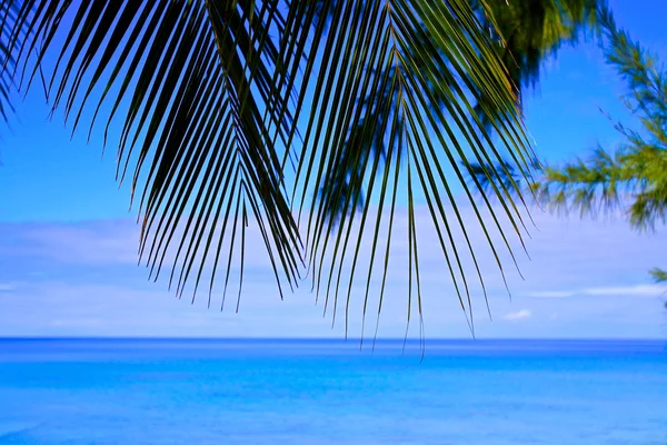 Atollo di Rangiroa — Foto Stock