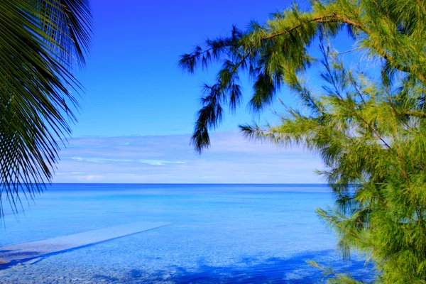 Rangiroa atoll,