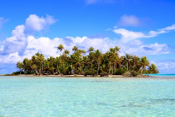 Rangiroa atolo — Foto Stock