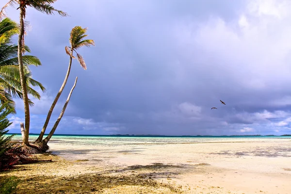 礁石 atol — 图库照片