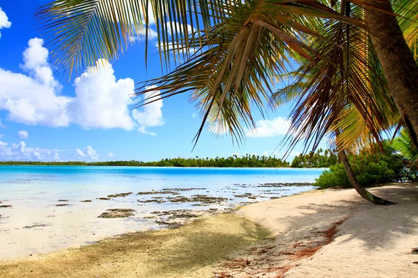 Atol de Rangiroa — Fotografia de Stock