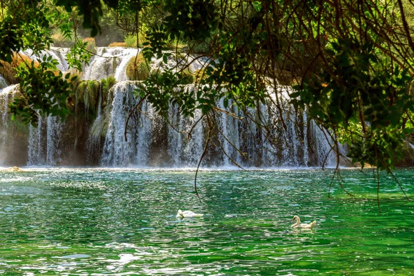 Kilátás Vízesés Fehér Hattyúk Krka Nemzeti Park Horvátországban — Stock Fotó