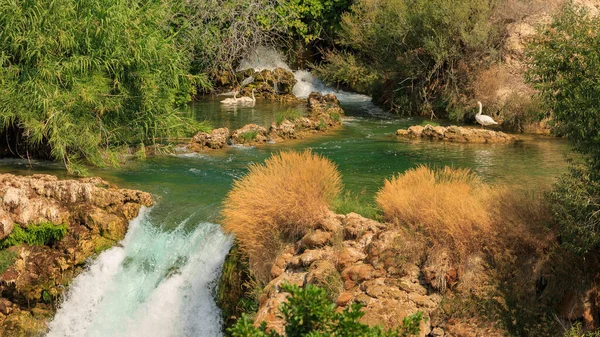 Unity Nature Way Restore Soul Waterfall Plants Swans Location Krka — Stock Photo, Image