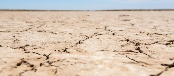 Dry river bed in drought — Stock Photo, Image