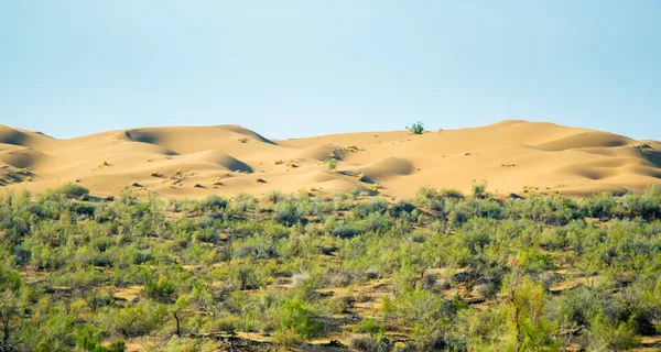 Panoramatický výhled na písečné duny — Stock fotografie