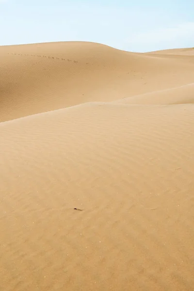 Zandduinen in de woestijn als achtergrond — Stockfoto